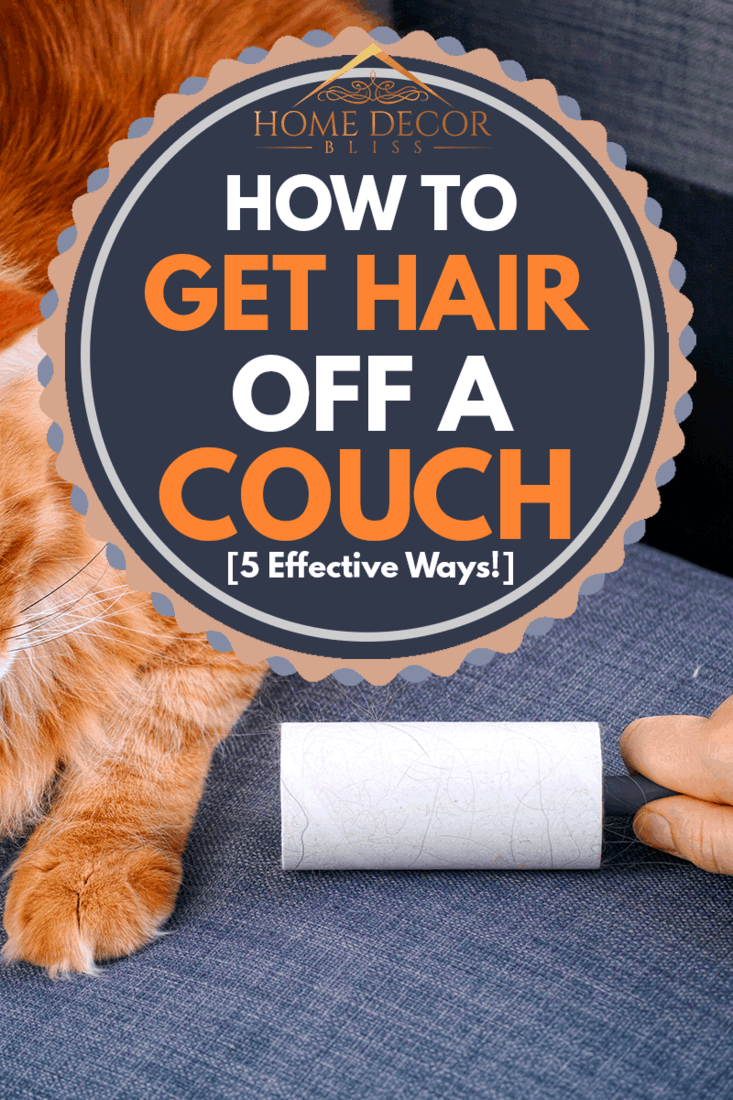 Woman hand with Lint roller removing animal hairs and fluff from gray couch. Ginger cat lying near., How to get hair off a couch