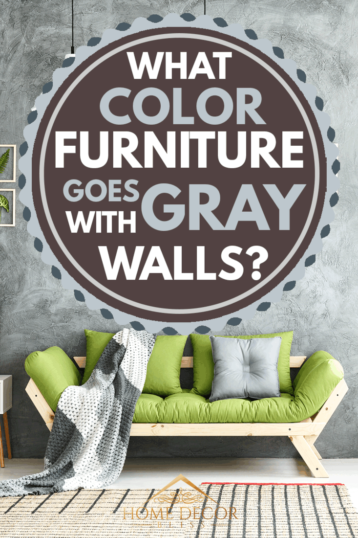 What color furniture goes with gray walls? Image showing green couch next to a gray wall 