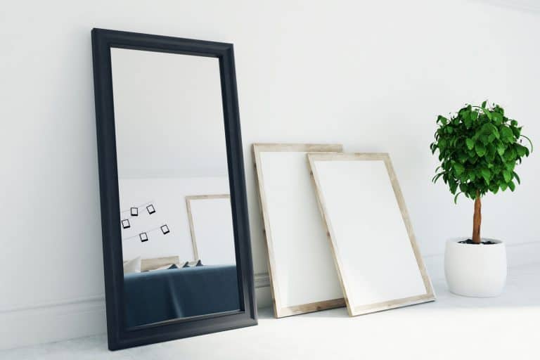 Living room interior with white walls and floor, two framed posters standing next to a potted tree and a mirror, How To Paint A Mirror Frame [6 Steps]