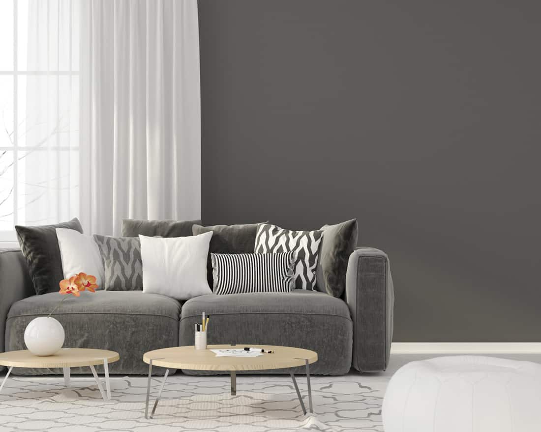 Living room with gray walls and gray furniture