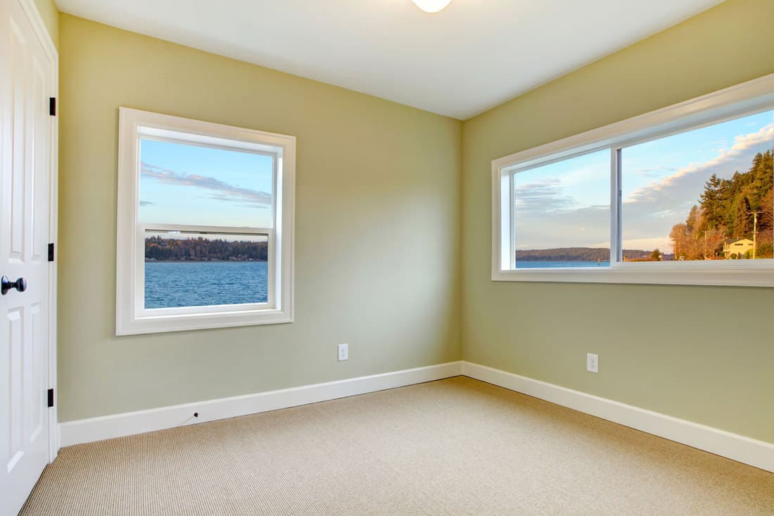 Living room with light green colored wall, carpeted flooring, and a small window on each side