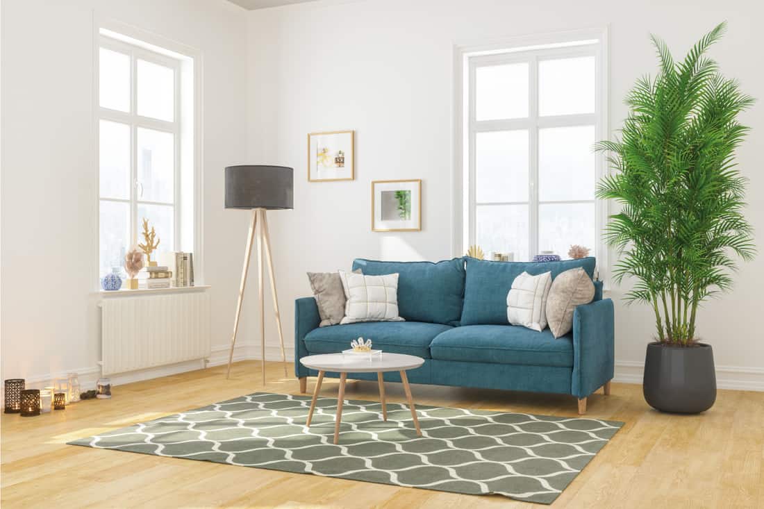 Modern Living Room Interior With Comfortable Sofa and dark green rug