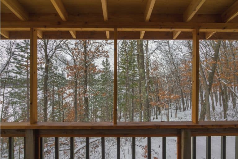 Snowy wintery north woods forest and lake viewed through a secluded cabin screened-in porch, How to Clean Screens on Porch (4 Effective Ways)