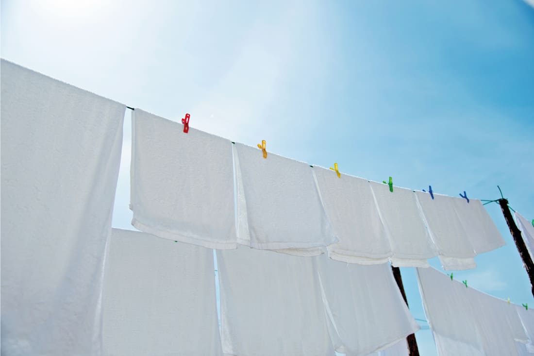 Draps blancs et serviettes suspendus à des cordes à linge sous le soleil