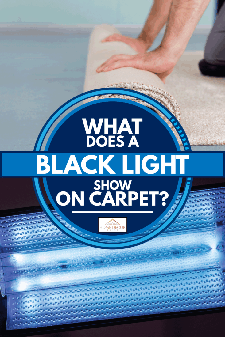 Worker's Hands Rolling Carpet At Home and UVC G23 fluorescent bulb, What Does A Black Light Show On Carpet