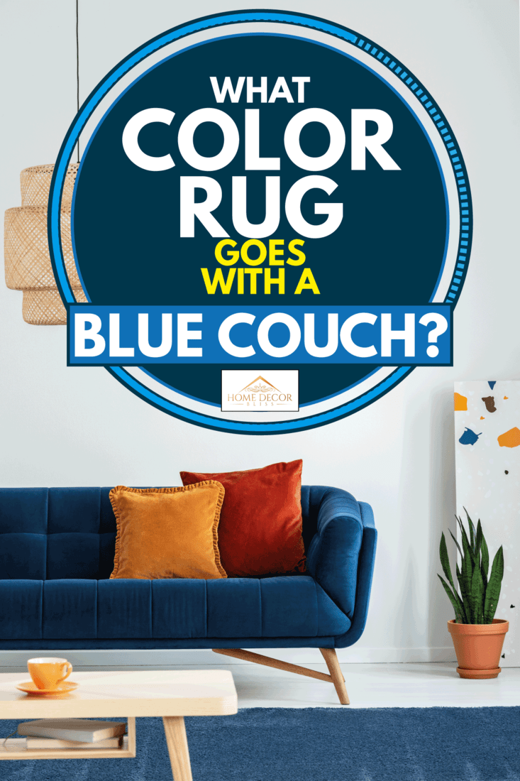 Lampshade above a wooden table on a navy blue rug in a colorful living room with pillows on a couch, What Color Rug Goes With A Blue Couch