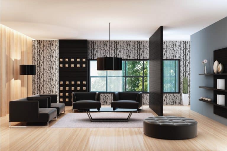 Luxury penthouse with black furniture and light colored rug, What Color Rug Goes With Black Furniture?