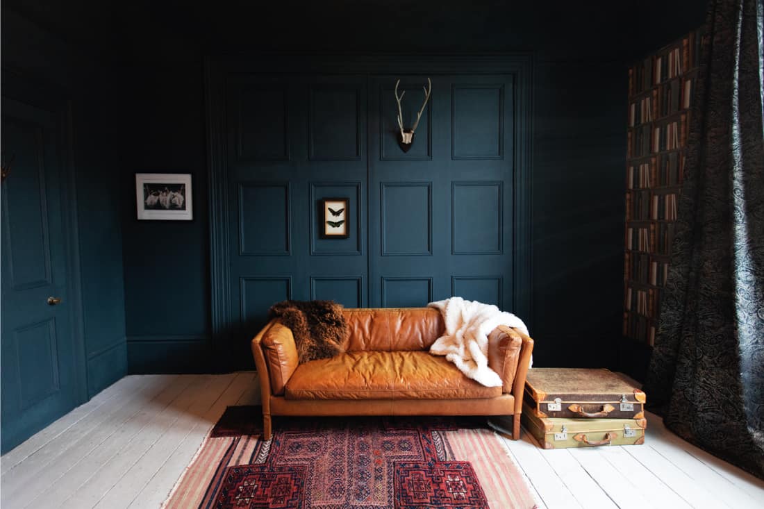 room with dark blue walls and a brown leather couch, 9 Types of Leather Couches by Leather Type
