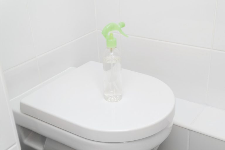 toilet-cleaner-on-top-of-a-covered-toilet-seat,-How-To-Keep-Your-Bathroom-Smelling-Fresh-[5-Awesome-Ways!]