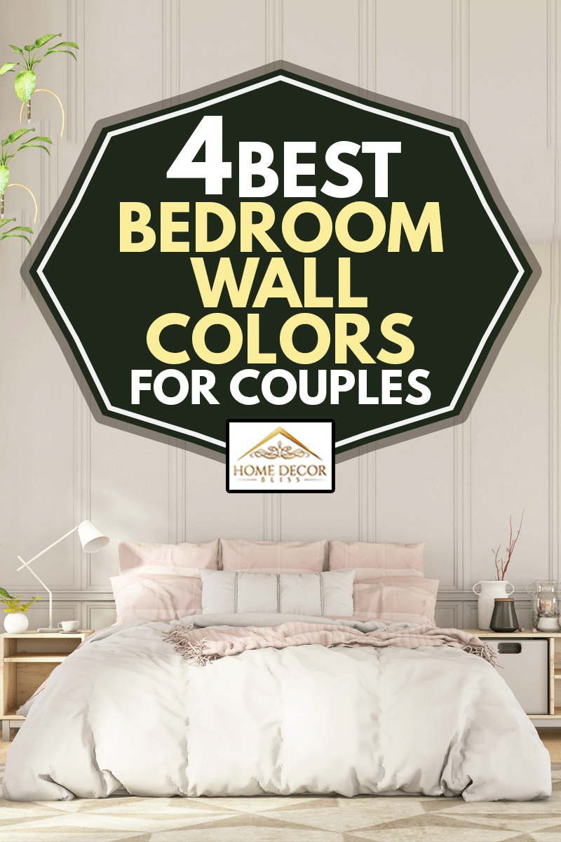 Intérieur de chambre vide loft de style scandinave, 4 meilleures couleurs de mur de chambre pour les couples