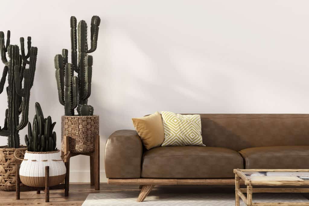A contemporary living room with a dark sofa and indoor cactus on the side of a sofa