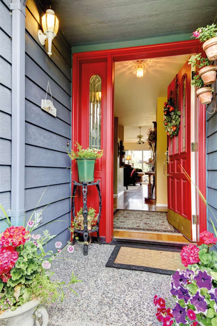 Bright red open front door to blue house with hardwood floor