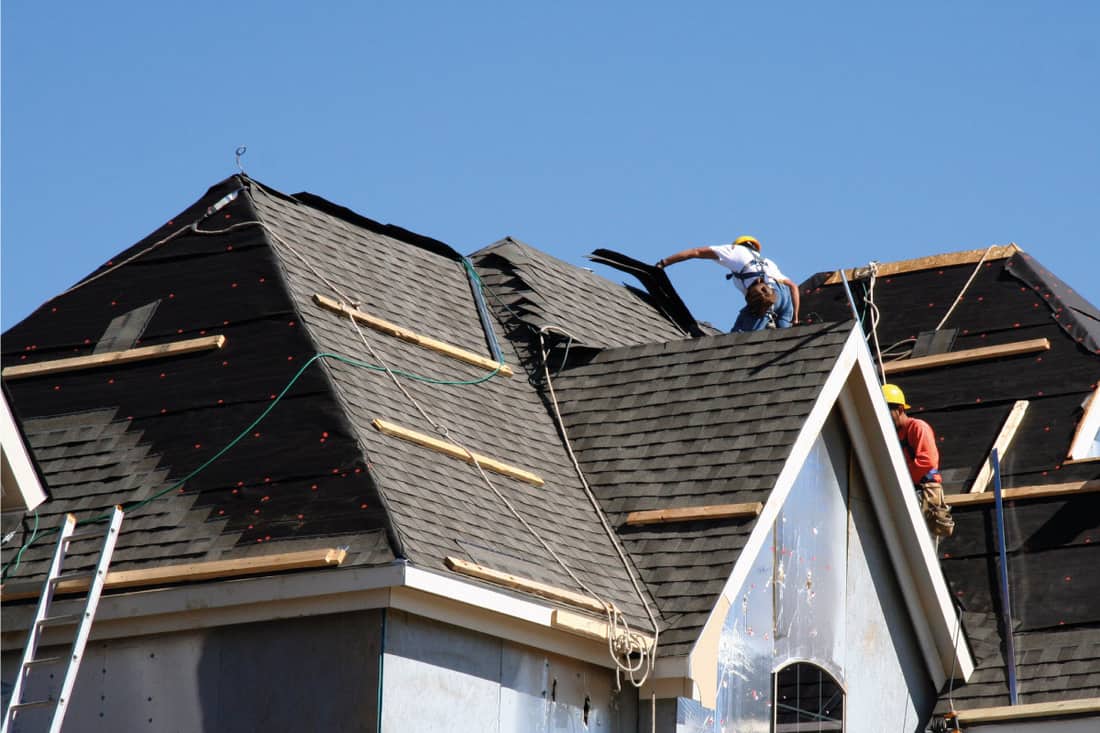 Construction workers putting shingles on the roof of a house, What Is The Best Wood For Roof Shingles?