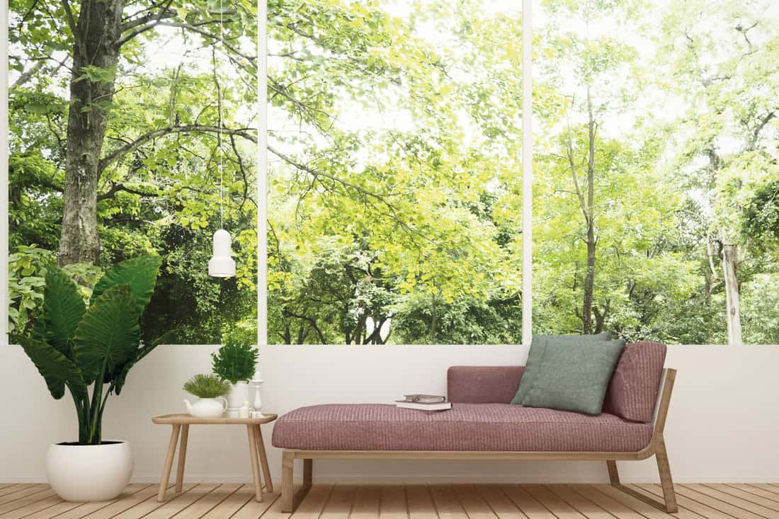 Daybed in living room and nature view