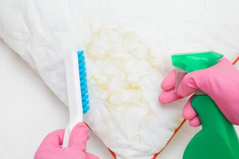 Dry cleaner's employee hands in rubber protective gloves holding spray bottle and brush removing saliva stain from white pillow, How To Clean Pillows: The Ultimate Guide