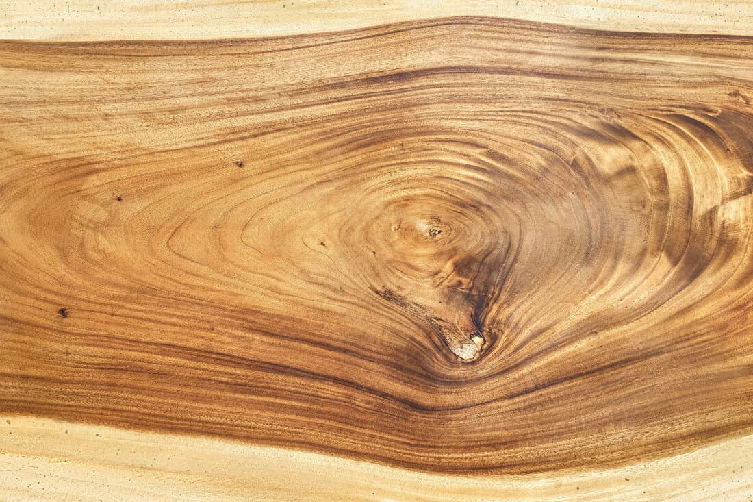 Fantastic texture of large lacquered live edge suar wood slab with knot extreme closeup 