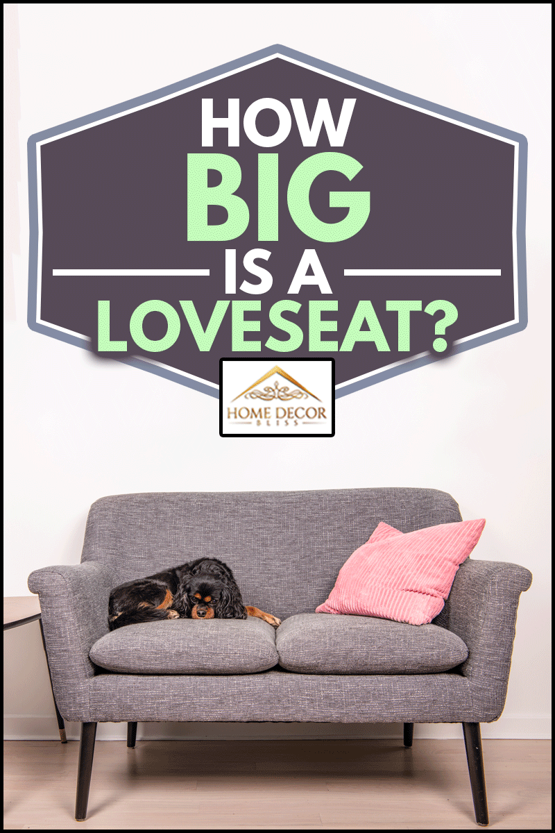 A beautiful dog relaxes on a gray loveseat sofa, curled up comfortably but eyes open looking at the camera, How Big Is A Loveseat?