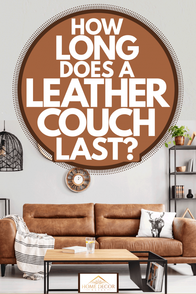 A gorgeous leather couch inside a white retro inspired living room with ethno styled cabinetry and dividers, How Long Does a Leather Couch Last?