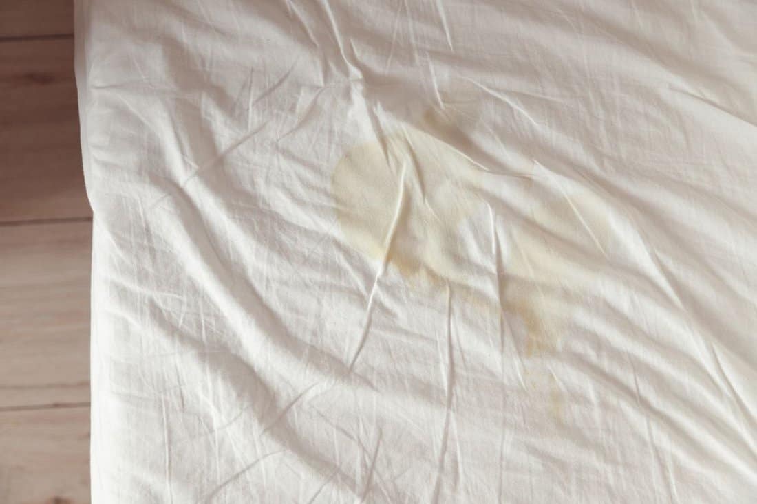 Image of pee's child on the white bed sheet. Cause stains and dirty on the mattress