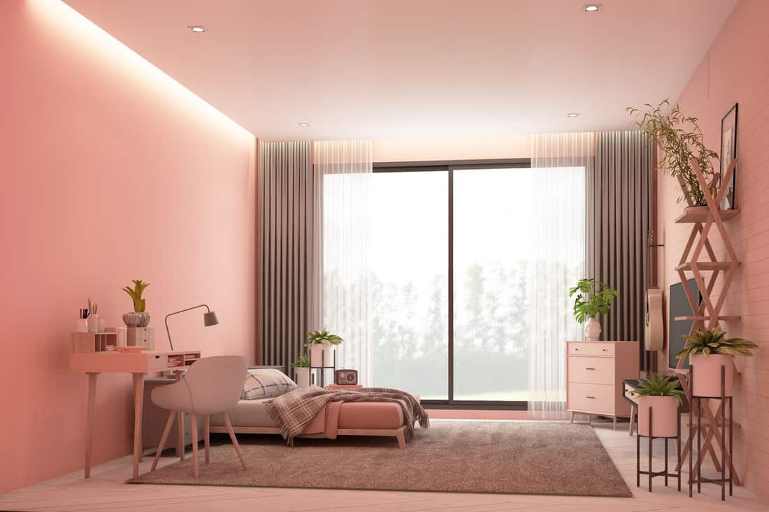 Interior of a huge contemporary living room with pink walls, gray curtains on the huge window, and pink beddings with a light gray carpet underneath