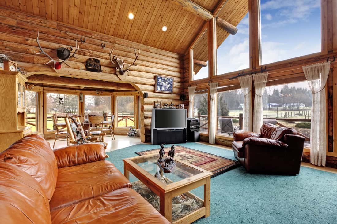 Interior of a rustic country home with wooden log walls, wooden panel ceilings, a huge window providing overview, and brown leather sofas