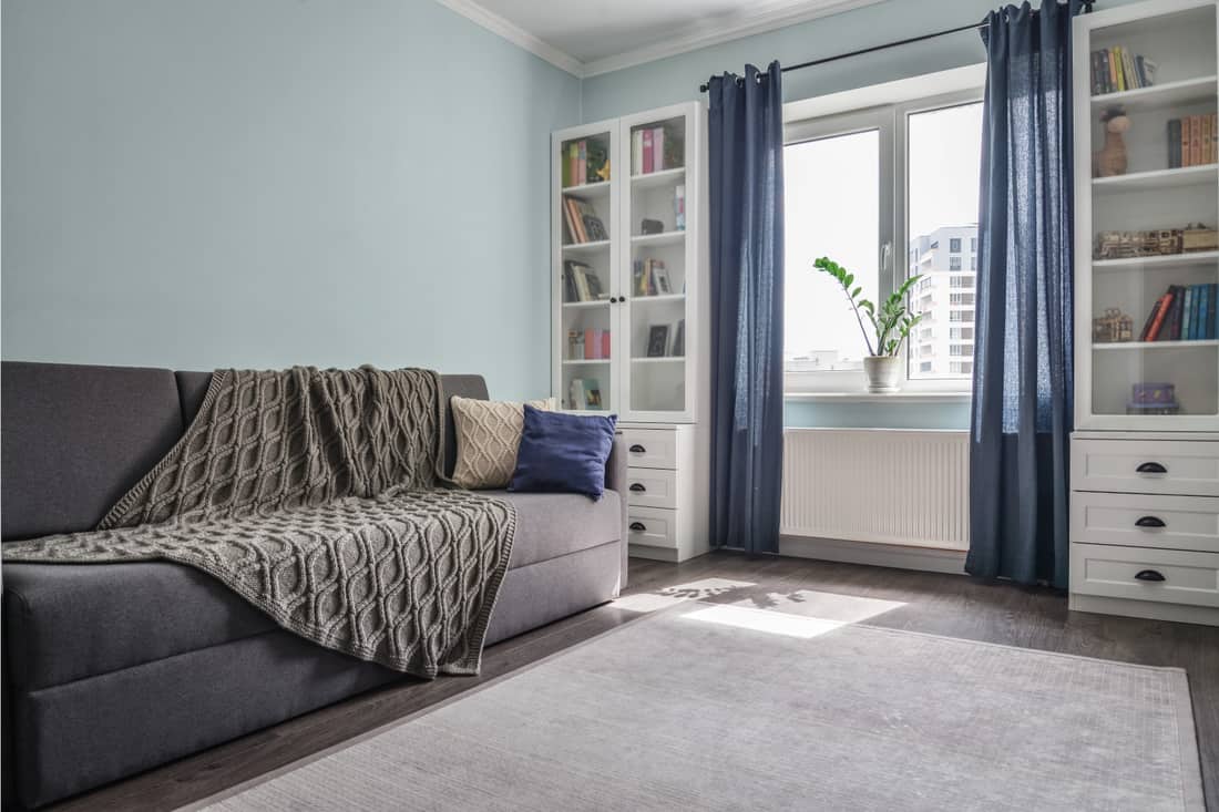 Light cozy teen room with white bookcases, grey sofa and carpet, and blue curtains