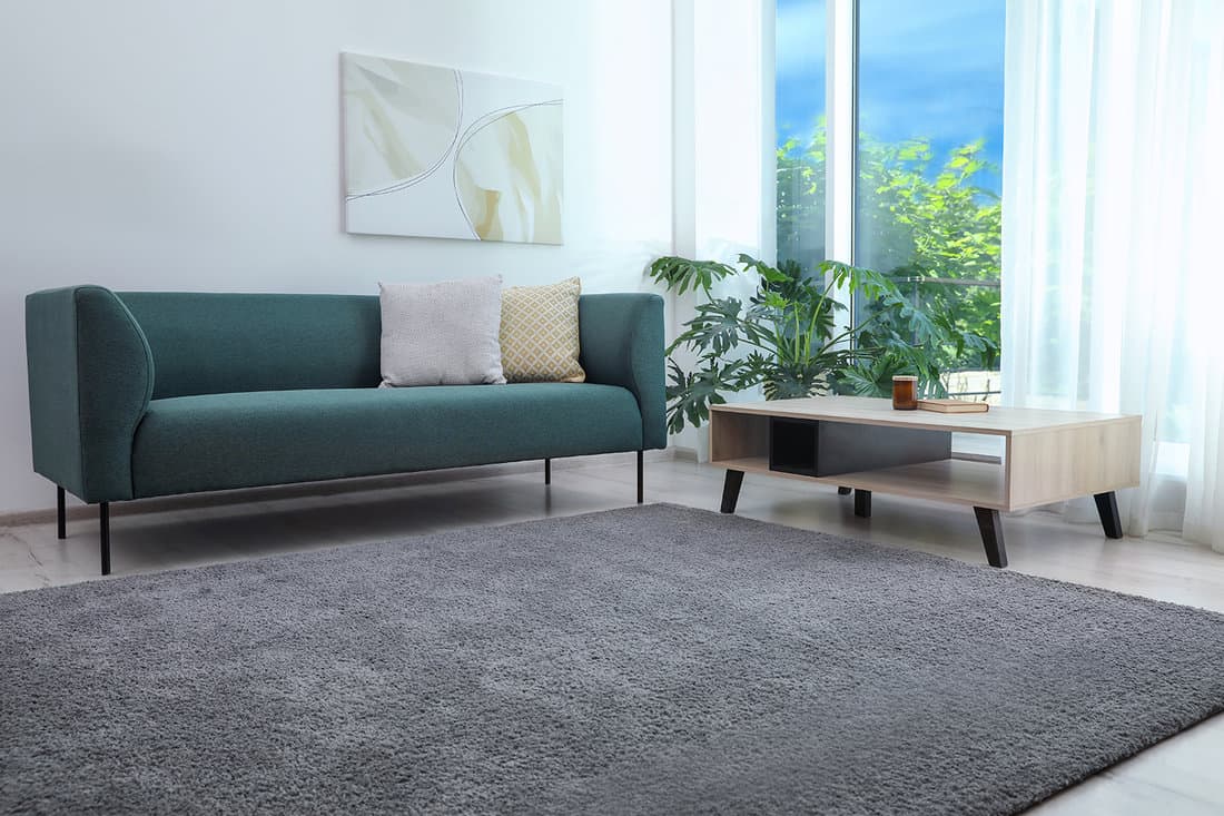 Living room interior with soft gray carpet and modern furniture