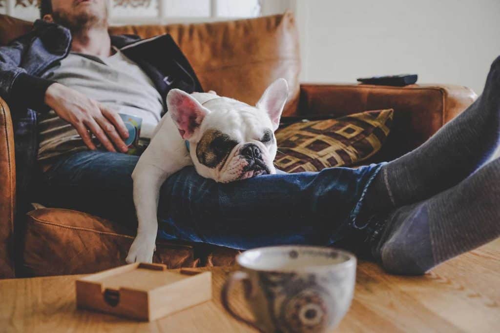 Man spending a lazy afternoon with his dog