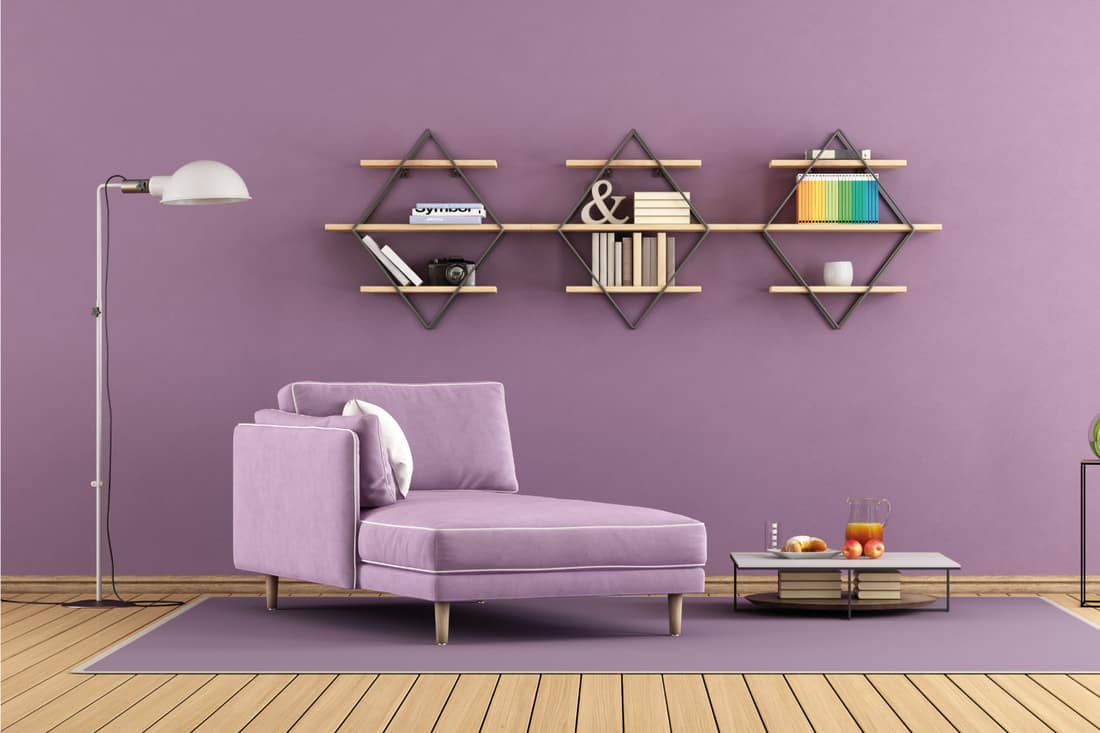 Modern living room with purple chaise lounge as secondary seating and shelves on wall
