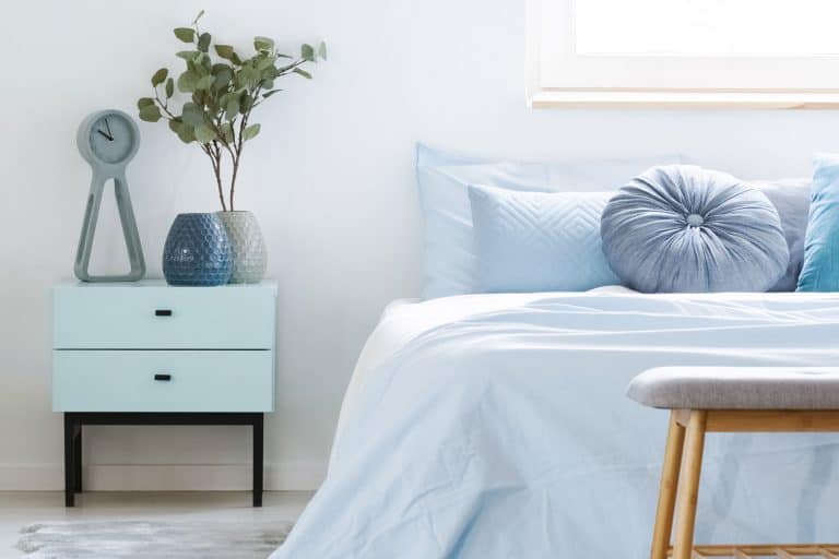 Plant on cabinet bedside table between patterned armchair and blue bed in bedroom interior with lamp, Here's What Should Be On Your Bedside Table