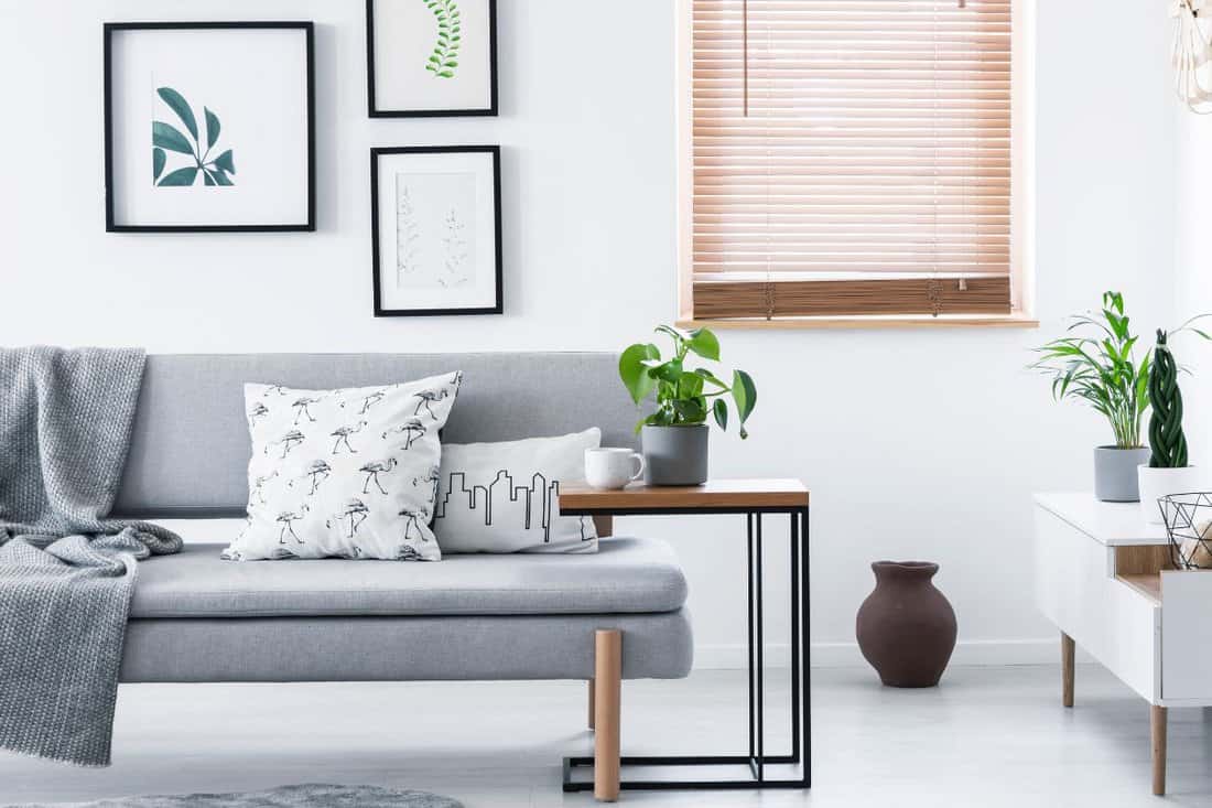Real photo of end table with fresh plant and tea cup standing by grey couch with cushions and blanket in white sitting room interior with posters and window.