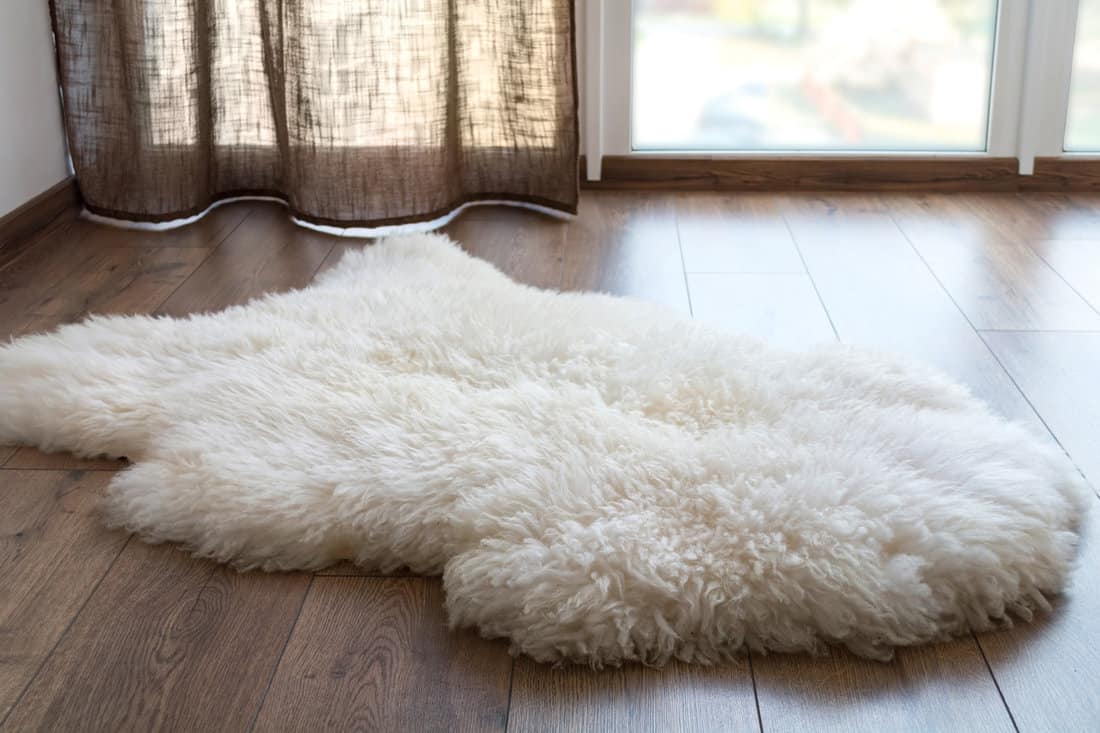 Sheep skin on the laminate floor in the room.