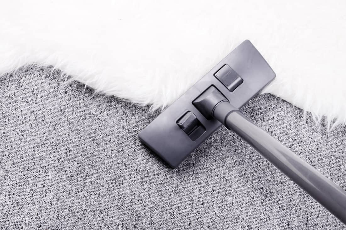 Vacuuming furry carpet 