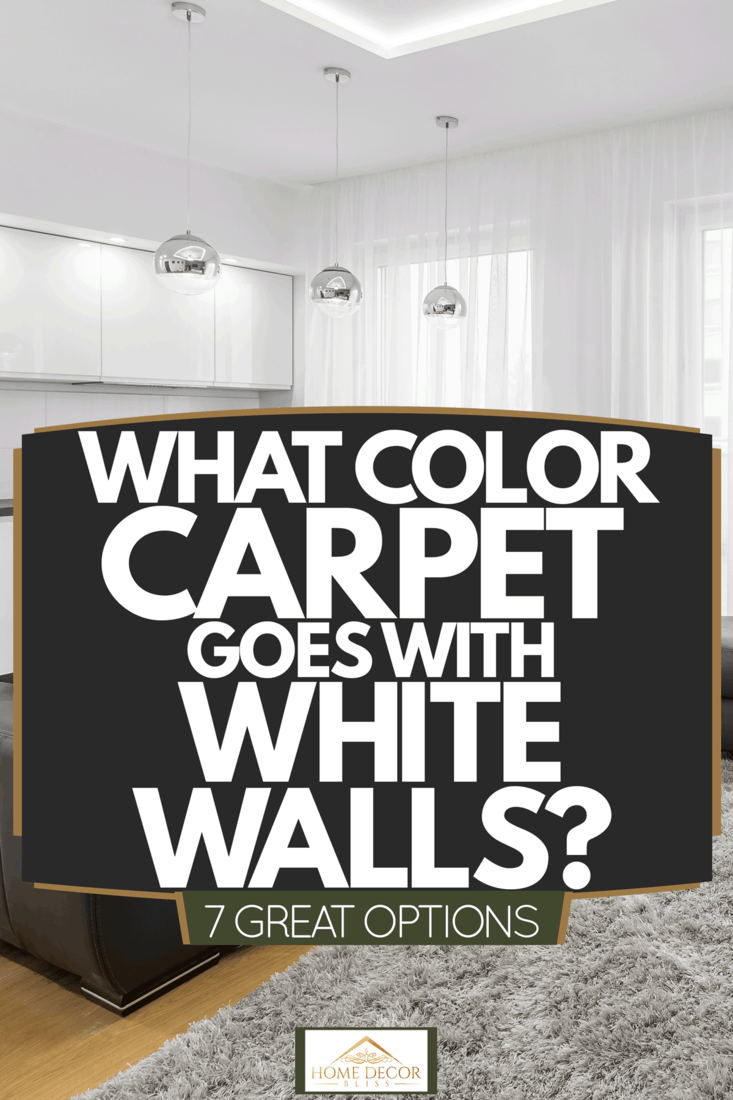 Interior of a modern living room with white walls, white curtains, wooden flooring, and a dark gray couch and an area rug underneath, Interior of a modern living room with white walls, white curtains, wooden flooring, and a dark gray couch and an area rug underneath, What Color Carpet Goes With White Walls? [7 Great Options]