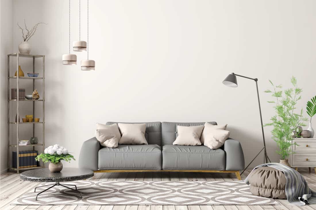 Apartment, living room with gray sofa, floor lamp, coffee table and rug