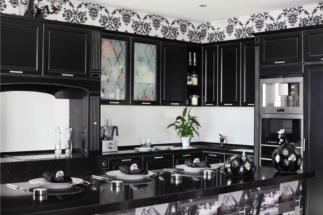 Black and white modern kitchen with faux patterns and stylish furniture