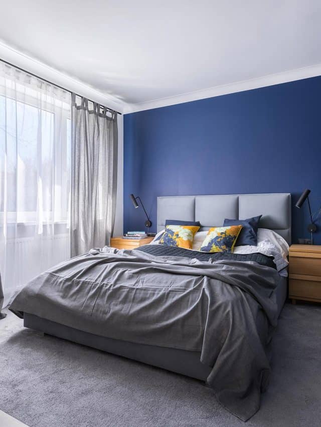 Cobalt blue bedroom with bed