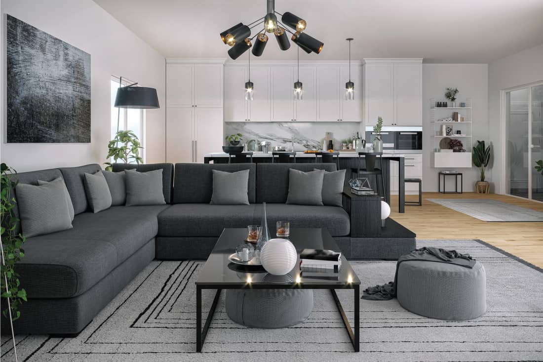 Dark and light gray living room with touch of gray from top to bottom