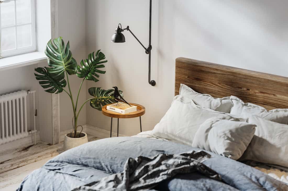 Domestic bedroom with bed, heater, potted plant and side table, What Is The Difference Between A Duvet And A Comforter?