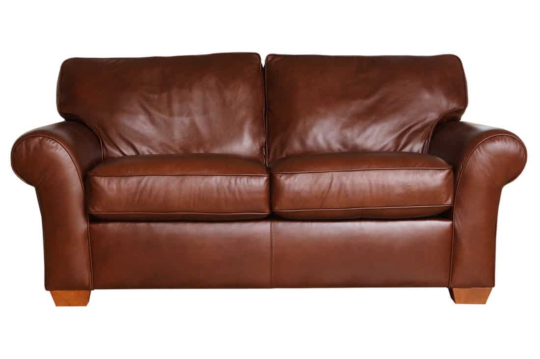 leather couch 