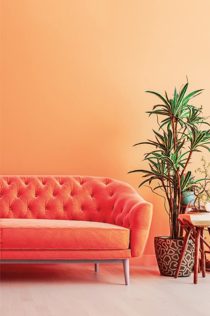 living room lush lava interior wall mock up with bright orange sofa