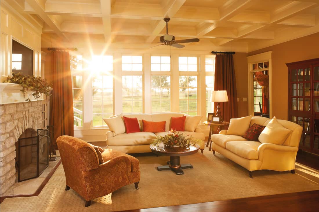 Living room with a stone fireplace and large windows looking out into the yard, couch placed against a window