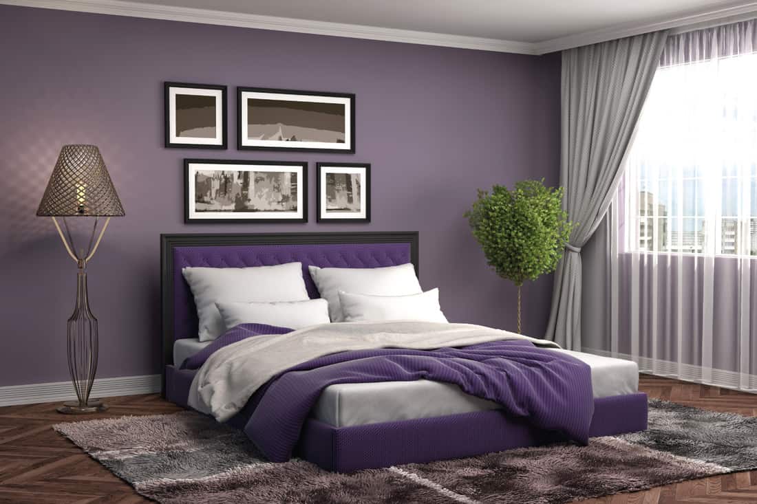 Modern bedroom interior, purple wall, blanket and headboard