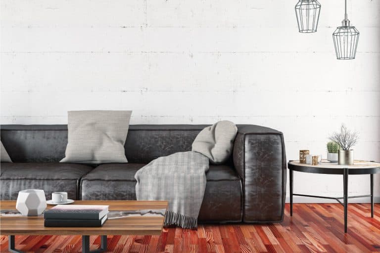 Modern faded gray leather couch in a waiting room with pillows, Is Leather Furniture In Style?