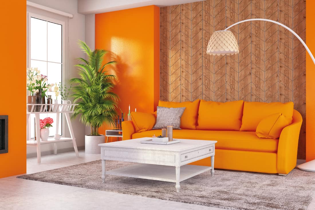 what color rug for orange couch