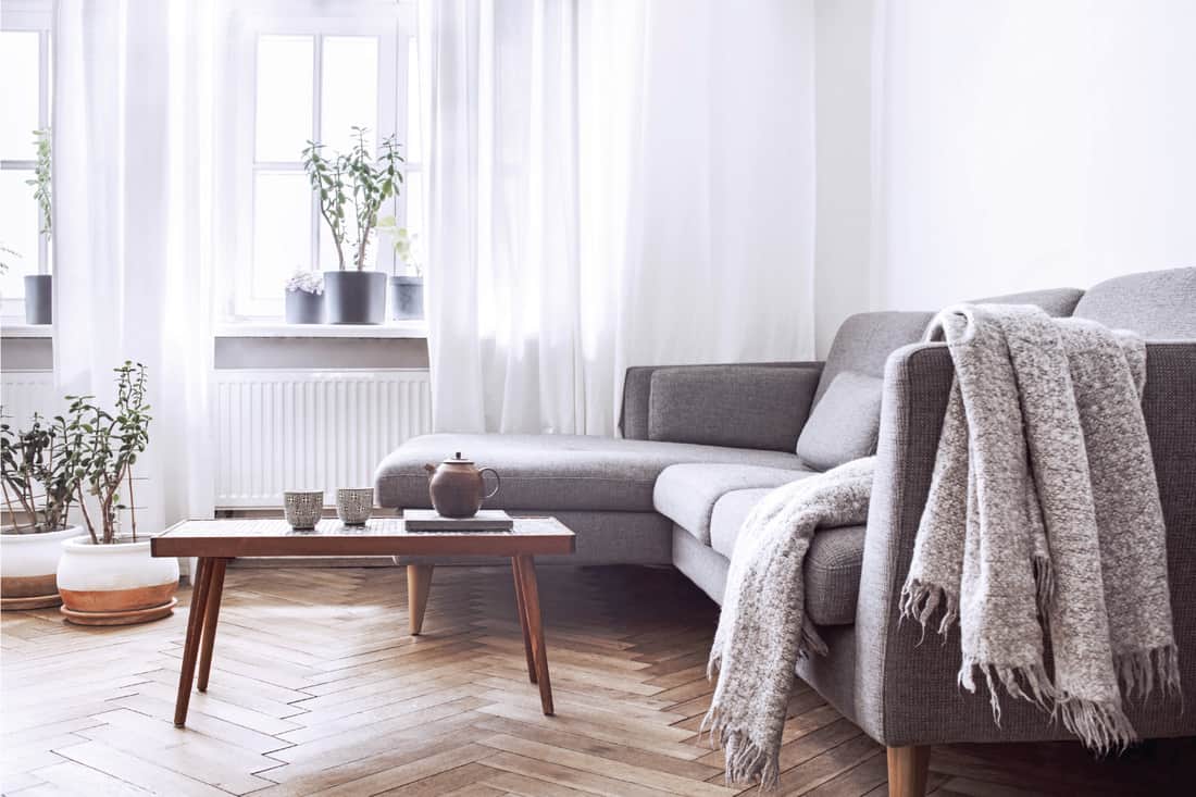 Small table and sofa, white walls, plants on the windowsill, brown wooden parquet floor on gray living room interior