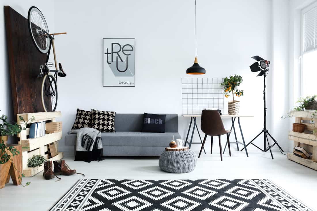 white and gray living room with sofa, pouf, patterned carpet, bike. inspiring workspace