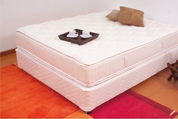 Read more about the article 5 Best Mattress Stain Removers