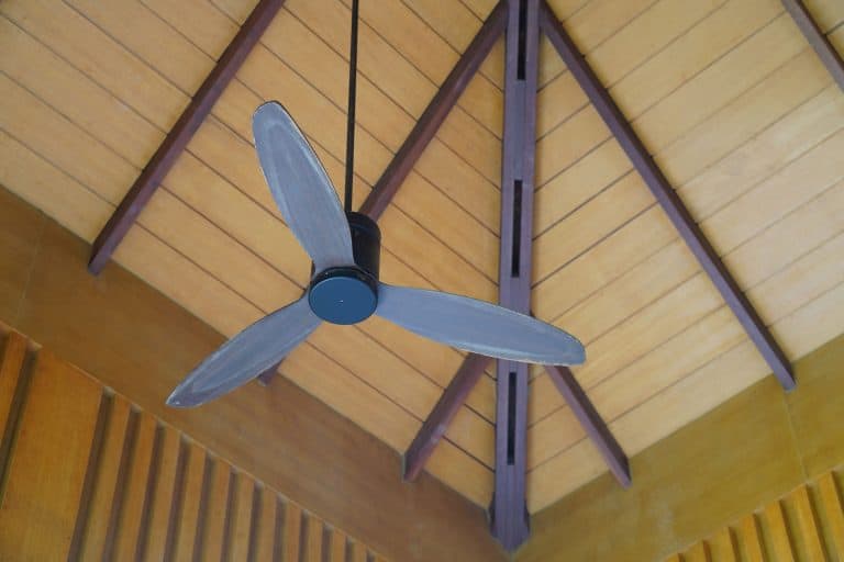 A classic design ceiling fan. Home appliance and electrical device object photo, How To Choose A Ceiling Fan - Questions To Ask Yourself
