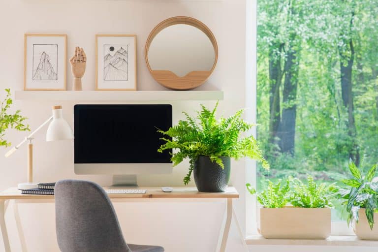 A contemporary work area with a indoor plants, wooden table, and a huge window with indoor plants, 17 Awesome Window Design Ideas